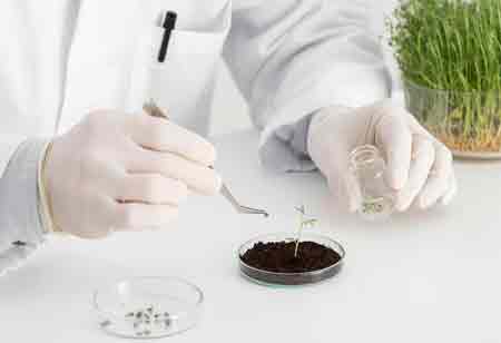 Future Farming Starts with Smarter Soil Testing