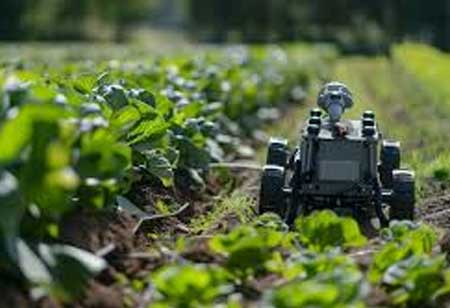 Revolutionizing Agriculture Through Logistics Innovation